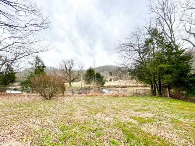 3576 Dog Branch Road Prospect, TN 38477 - Photo 19 of 24 a view of back yard of the house