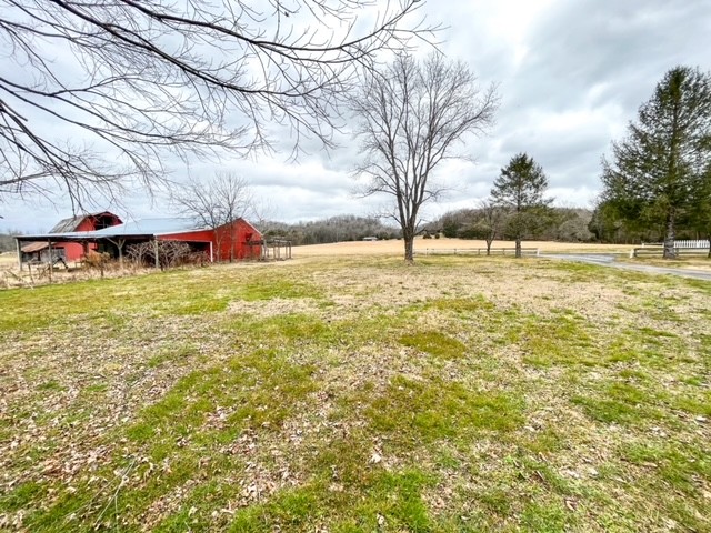3576 Dog Branch Road Prospect, TN 38477 - Photo 24 of 24 a view of a yard with a large tree