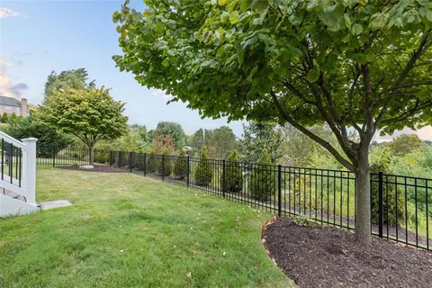 a view of a backyard with a trees