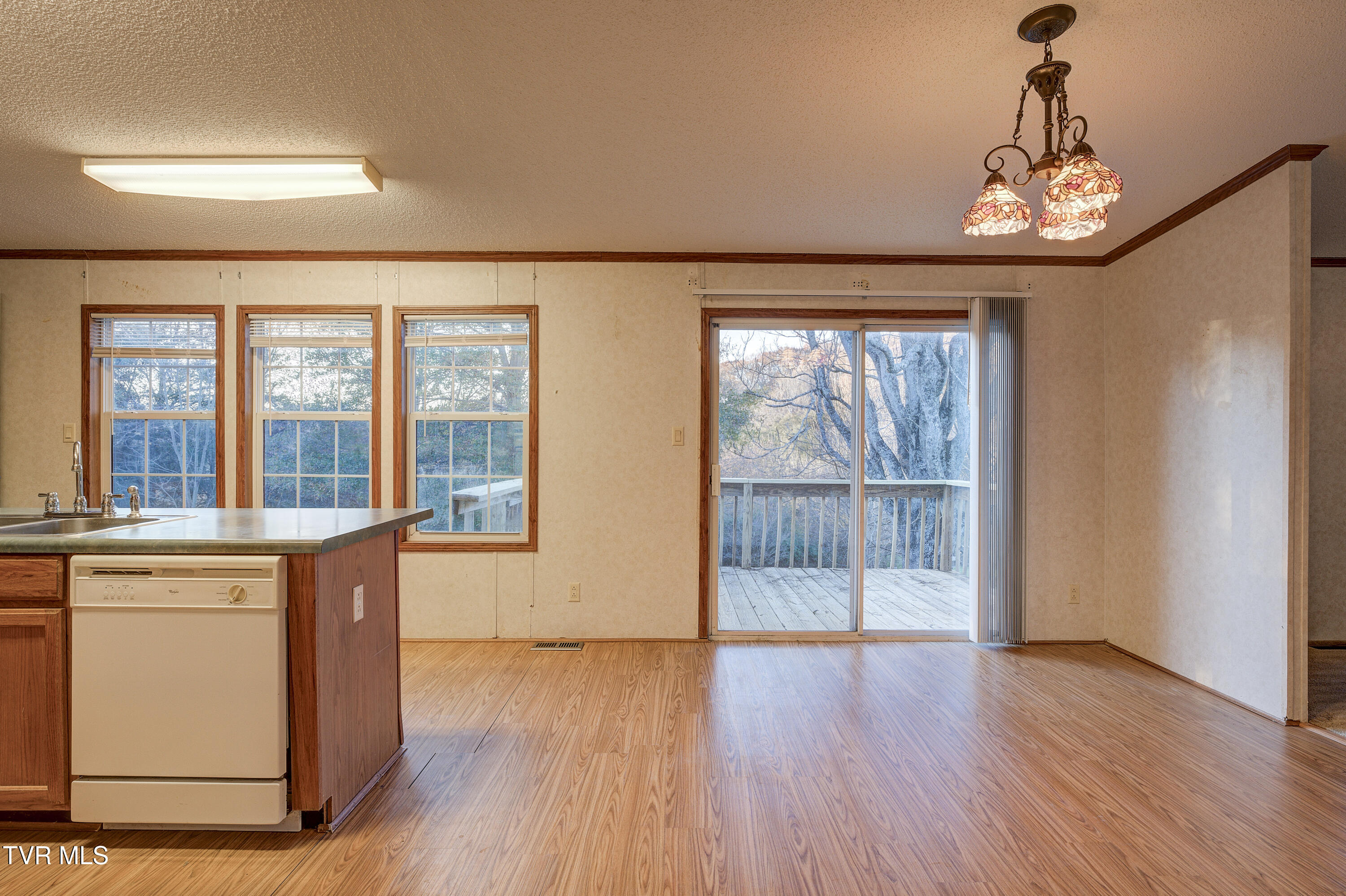 1142 Ridge Court Jonesborough, TN 37659 - Photo 8 of 50 Eat-in Kitchen
