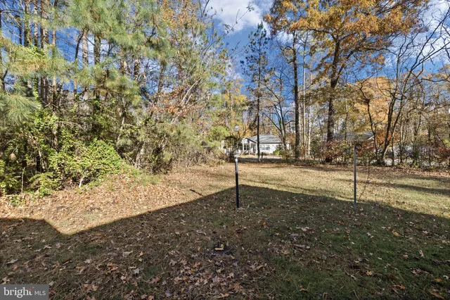 a view of dirt yard with a tree
