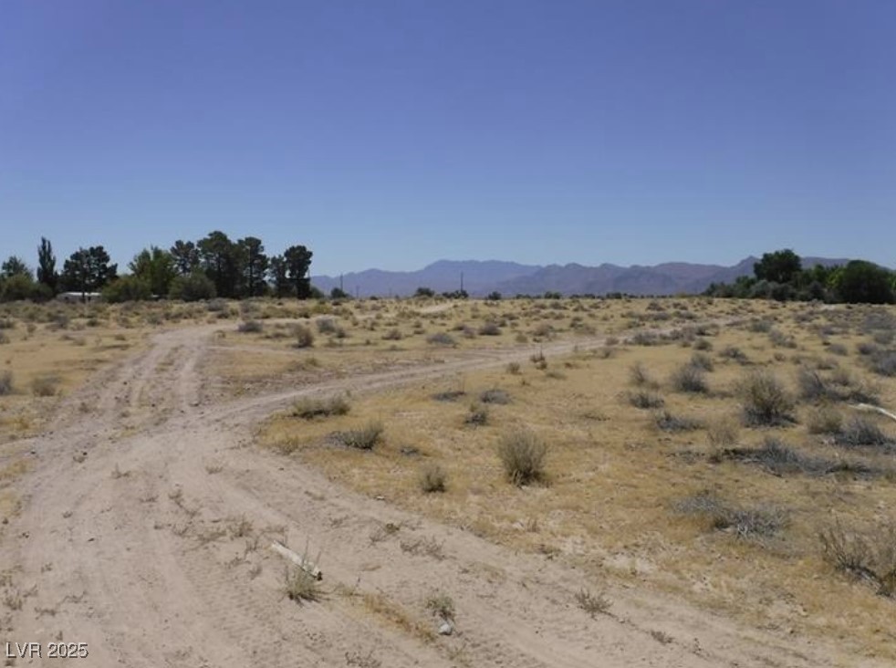 West Norite Avenue Sandy Valley, NV 89019 - Photo 6 of 10