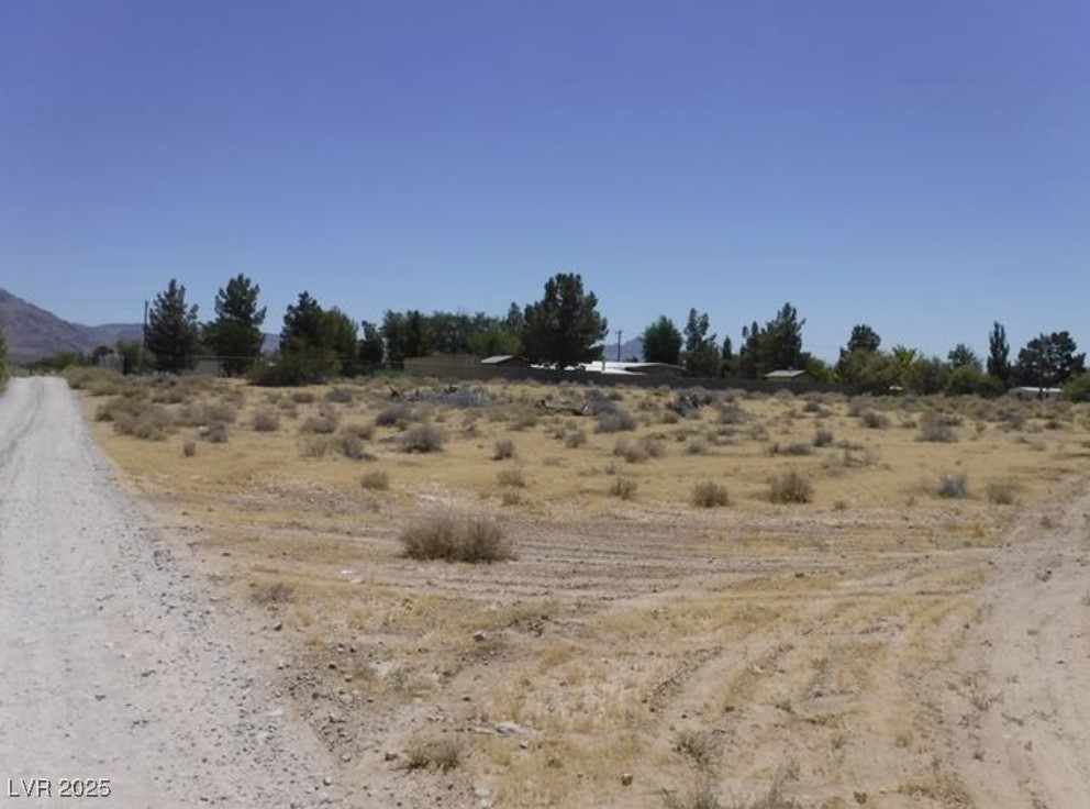 West Norite Avenue Sandy Valley, NV 89019 - Photo 7 of 10