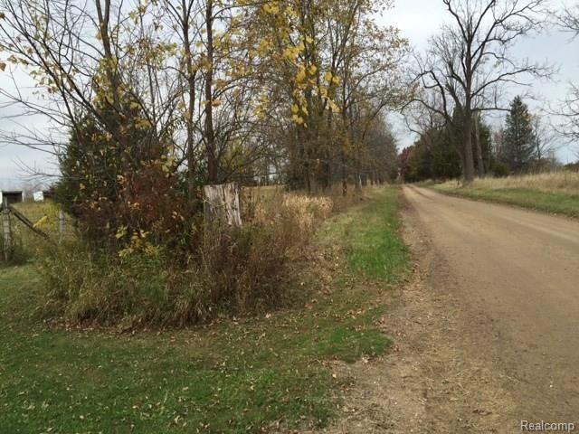 Parcel B Parcel B Handy Road Howell, MI 48855 - Photo 5 of 15