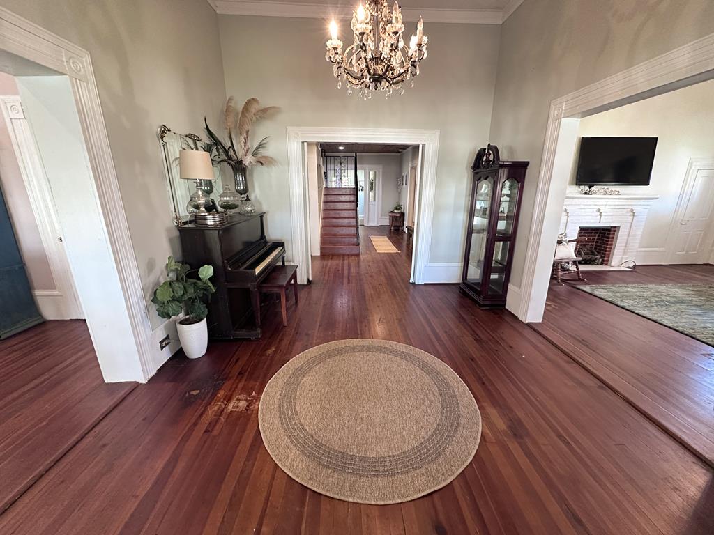 185 North Morris Street Slocomb, AL 36375 - Photo 2 of 58