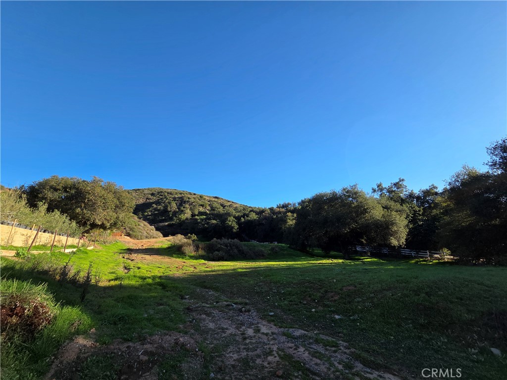 0 Jackson Ranch Road Silverado, CA 92676 - Photo 11 of 17 a view of a grassy field with an trees