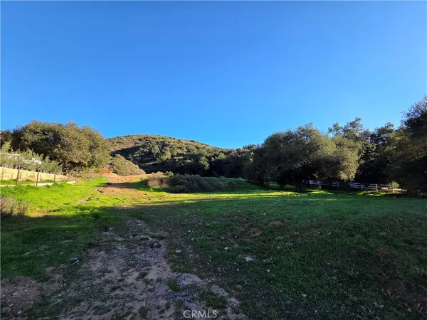 a view of a grassy area with an ocean
