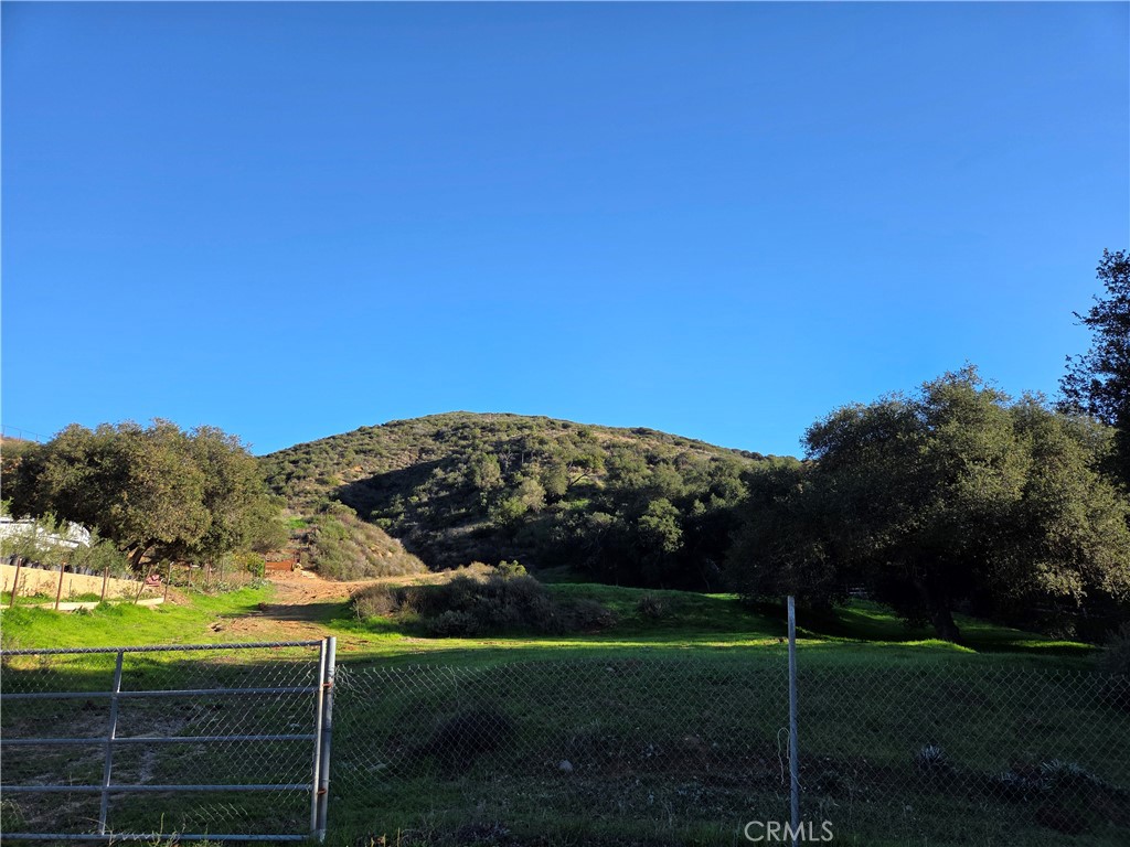 0 Jackson Ranch Road Silverado, CA 92676 - Photo 17 of 17 a view of a field with an tree in the background