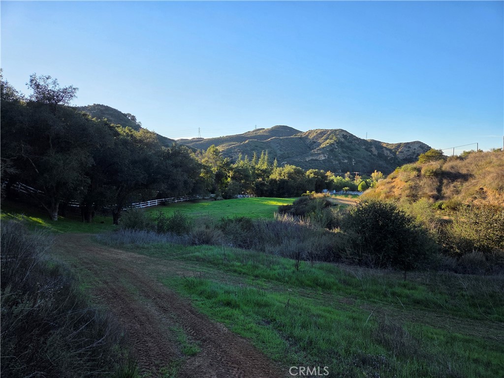 0 Jackson Ranch Road Silverado, CA 92676 - Photo 8 of 9 a view of a backyard with green space