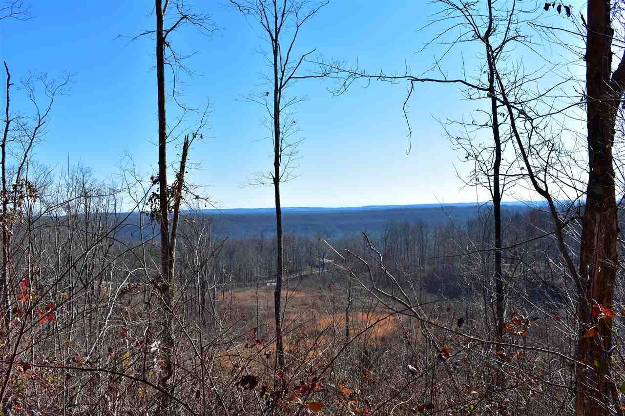 767 Big Ridge Road Spring City, TN 37381 - Photo 3 of 12 Gallery Image 3