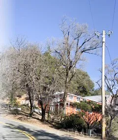 $124,900 | 10705 Gifford Springs Road, Cobb, CA 95426