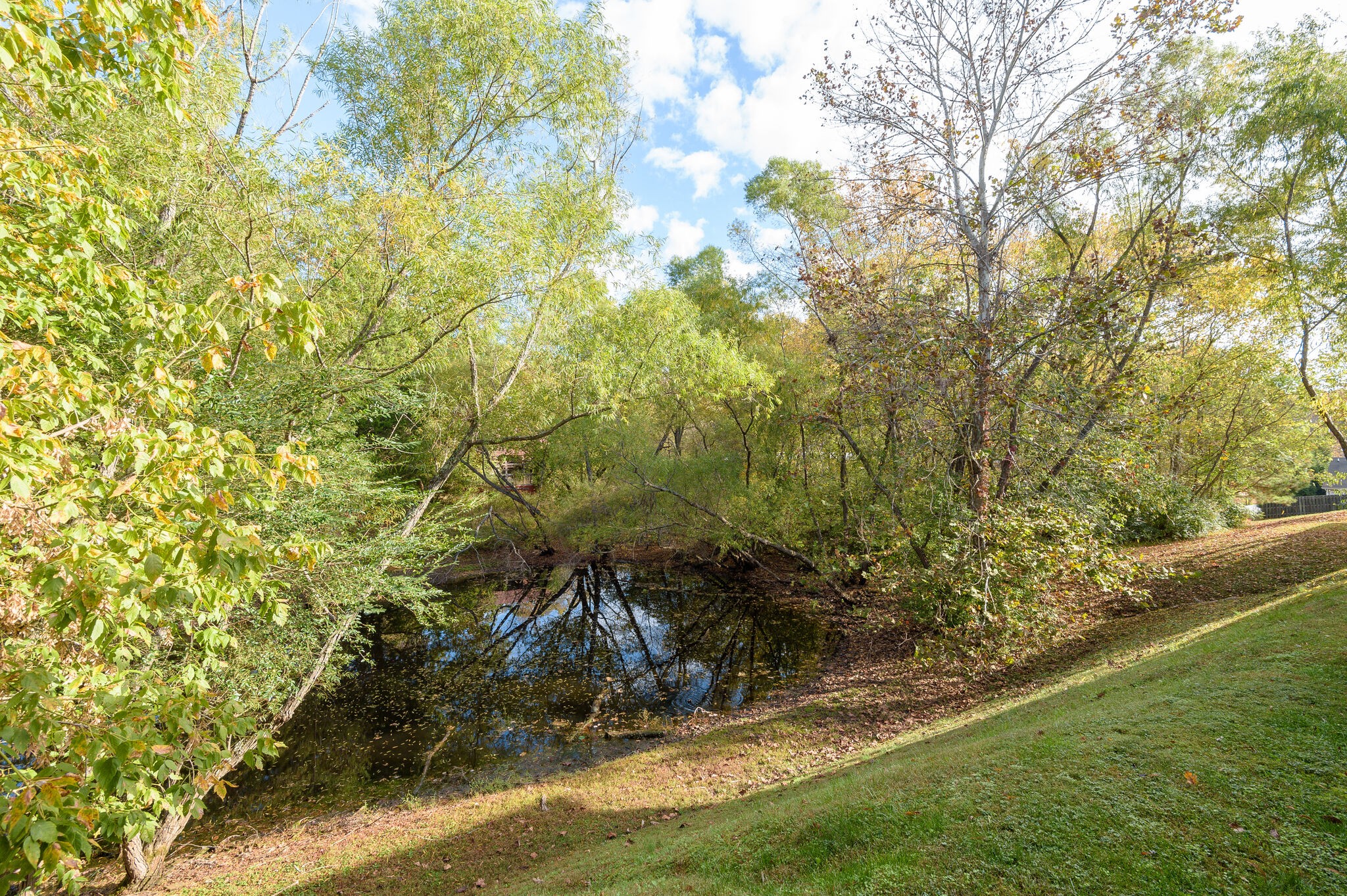 7338 Planters Road Fairview, TN 37062 - Photo 27 of 30 Gallery Image 27