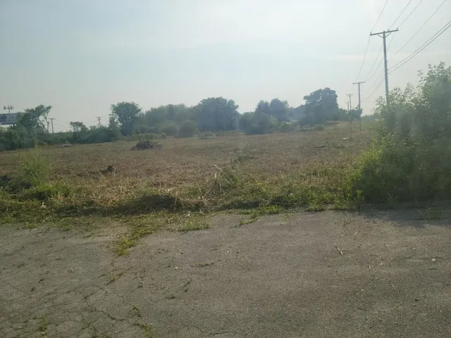 a view of a field with trees in it