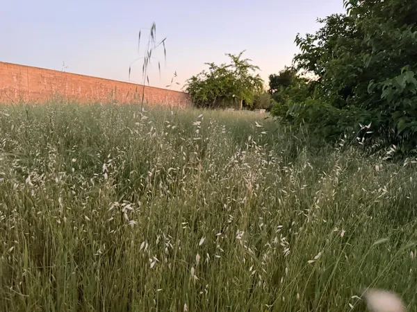 a view of a field