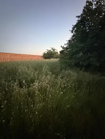 a view of a field of grass and trees