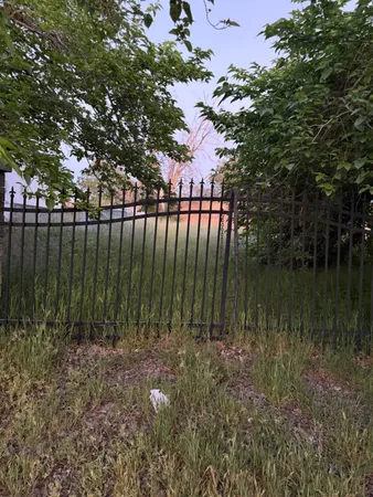 a view of lake with a large trees