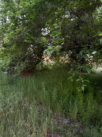 a view of a lake