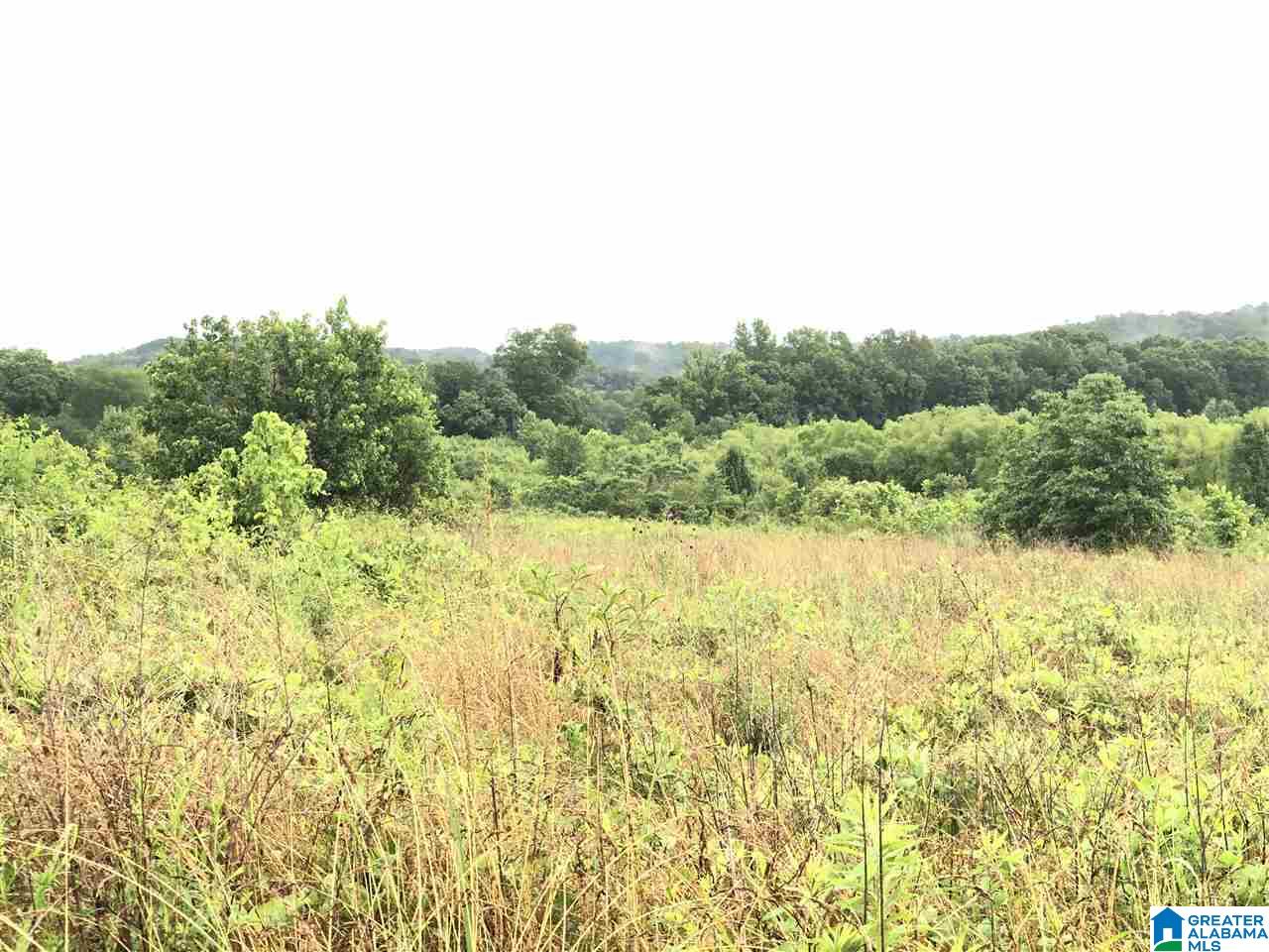 0 Old Downey Mill Road Anniston, AL 36207 - Photo 13 of 28