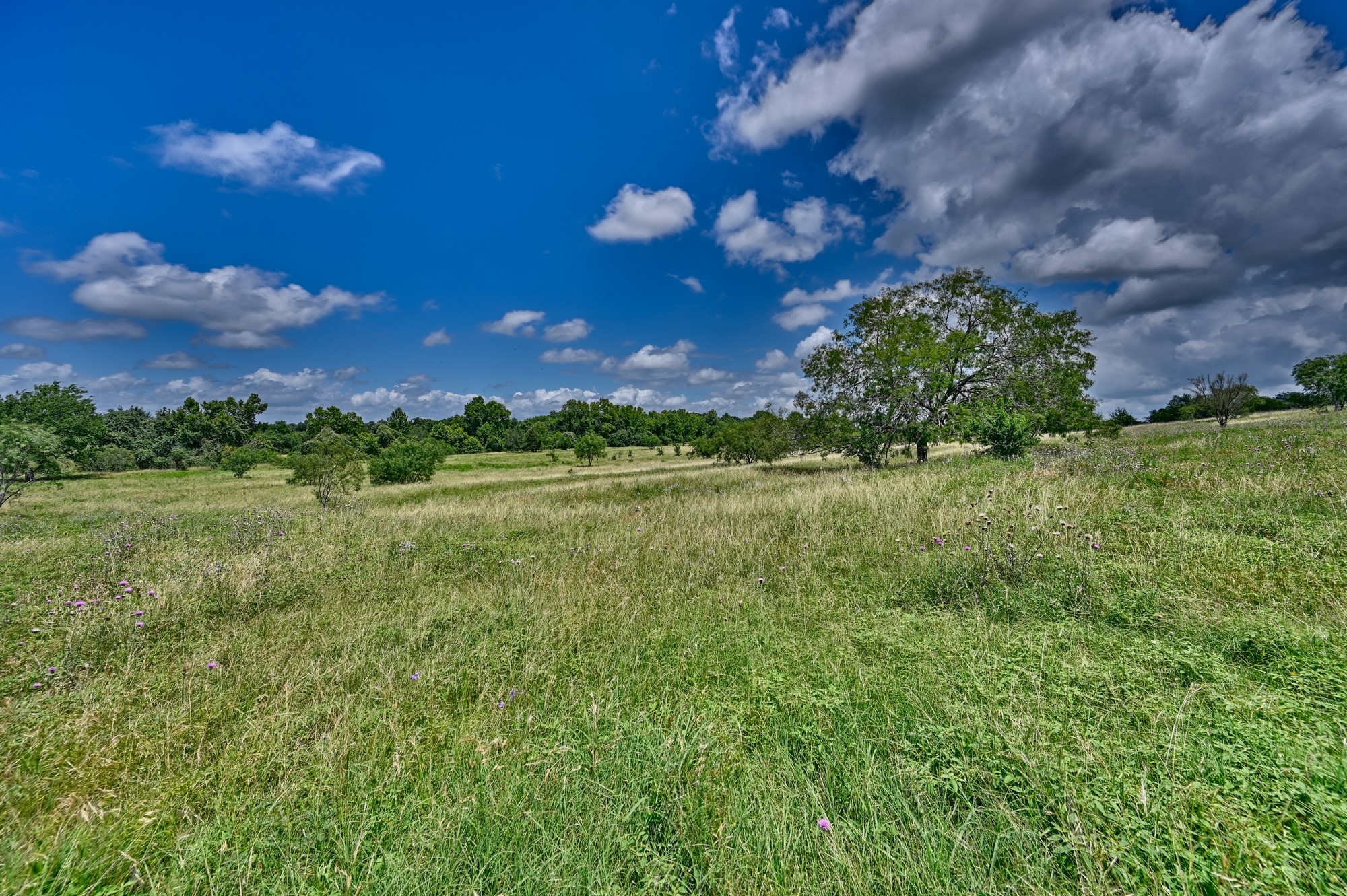 5208 Mensik Road Schulenburg, TX 78956 - Photo 32 of 34 Pasture
