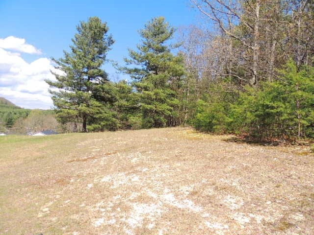 Tbd Locust Hill Road Max Meadows, VA 24360 - Photo 16 of 20 Gallery Image 16