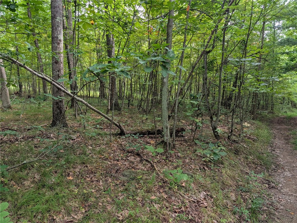 Dug Road Elmira, NY 14901 - Photo 5 of 5 Gallery Image 5