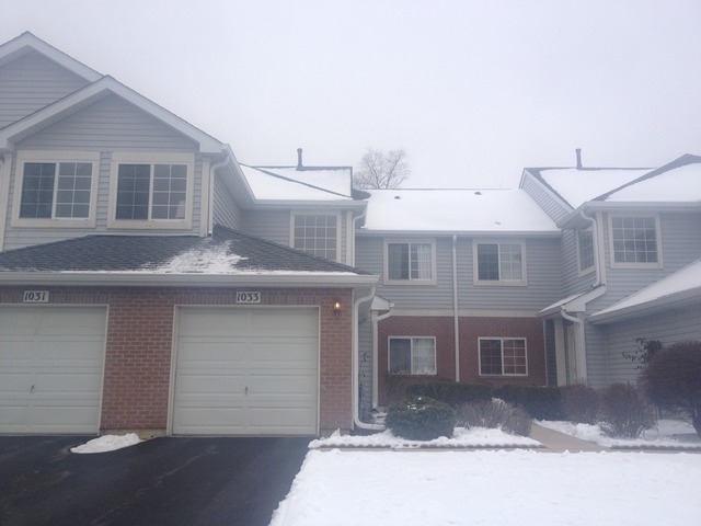 1033 Ripple Ridge, Unit 1033 Darien, IL 60561 - Photo 2 of 17
