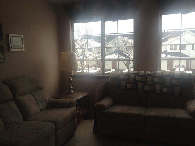 1033 Ripple Ridge, Unit 1033 Darien, IL 60561 - Photo 12 of 17