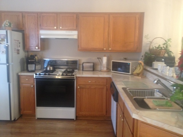 1033 Ripple Ridge, Unit 1033 Darien, IL 60561 - Photo 4 of 17