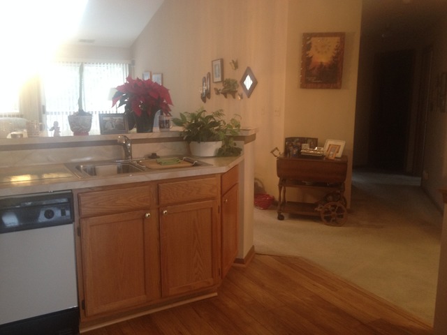 1033 Ripple Ridge, Unit 1033 Darien, IL 60561 - Photo 5 of 17