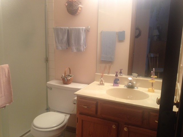1033 Ripple Ridge, Unit 1033 Darien, IL 60561 - Photo 10 of 17