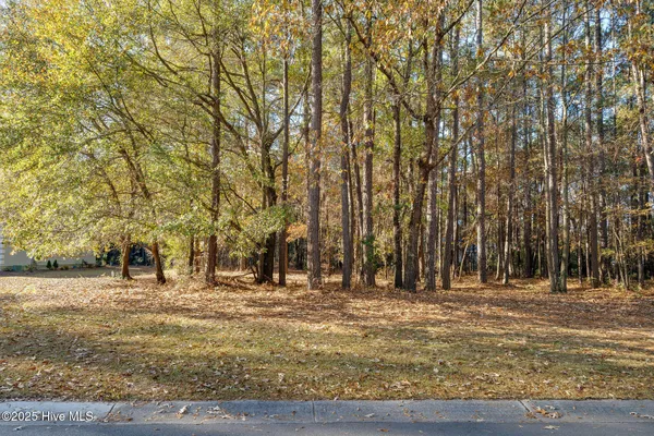 $27,500 | 266 Red Fox Run Drive, Wallace, NC 28466