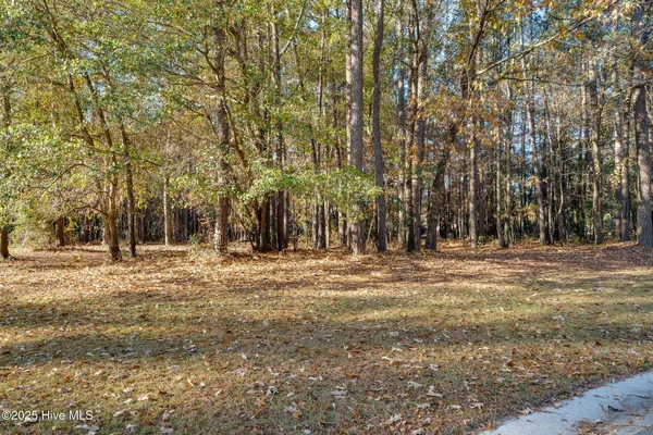 $27,500 | 266 Red Fox Run Drive, Wallace, NC 28466
