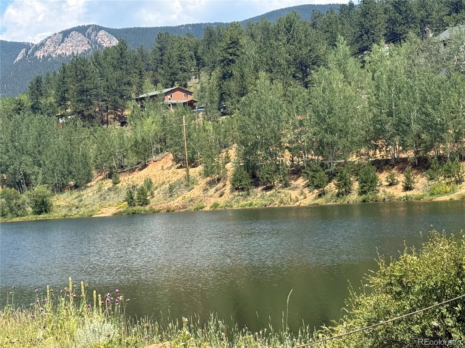 63 Fitzsimmons Road Bailey, CO 80421 - Photo 2 of 27 Gallery Image 2