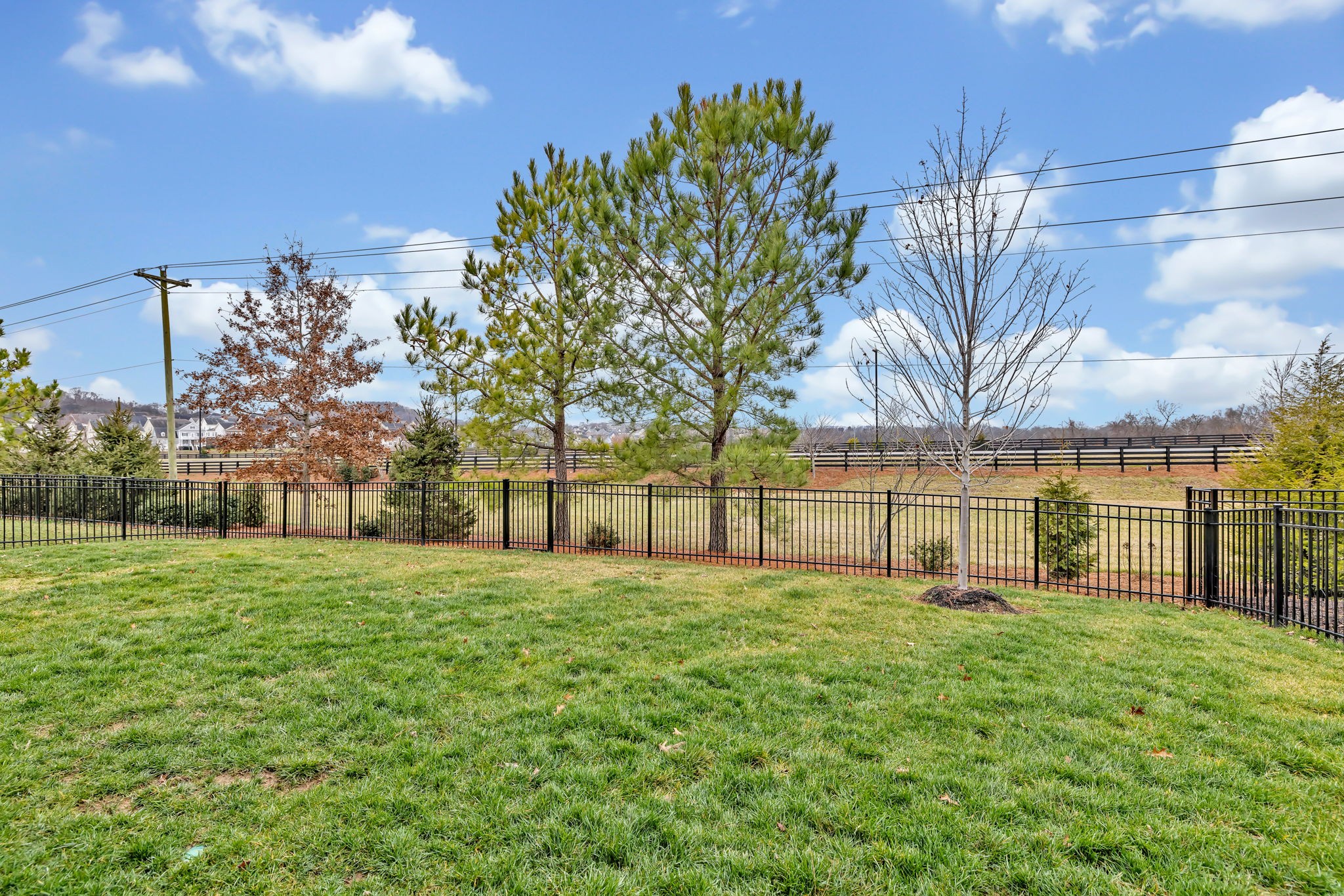 4049 Ryecroft Lane Franklin, TN 37064 - Photo 23 of 34 a view of a yard with a house in the background