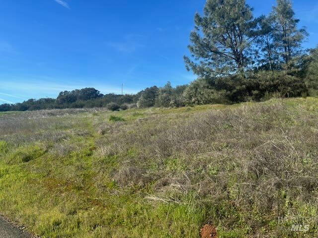 16295 Tinilyn Road Lower Lake, CA 95457 - Photo 5 of 11