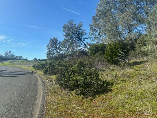 16295 Tinilyn Road Lower Lake, CA 95457 - Photo 6 of 11