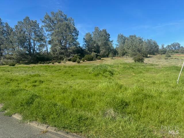 16295 Tinilyn Road Lower Lake, CA 95457 - Photo 9 of 11