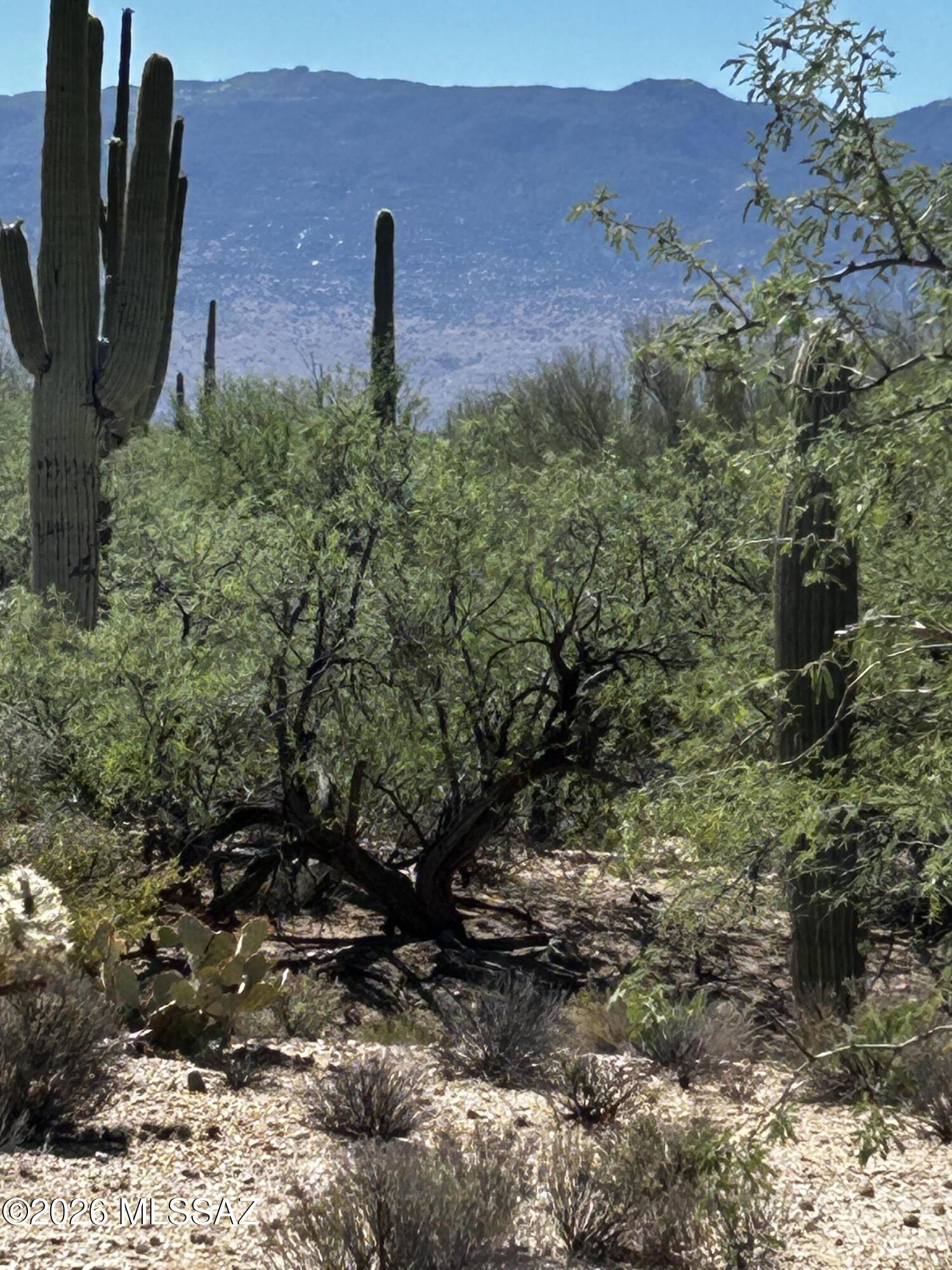East Roger Road, Unit 46 Tucson, AZ 85749 - Photo 14 of 38