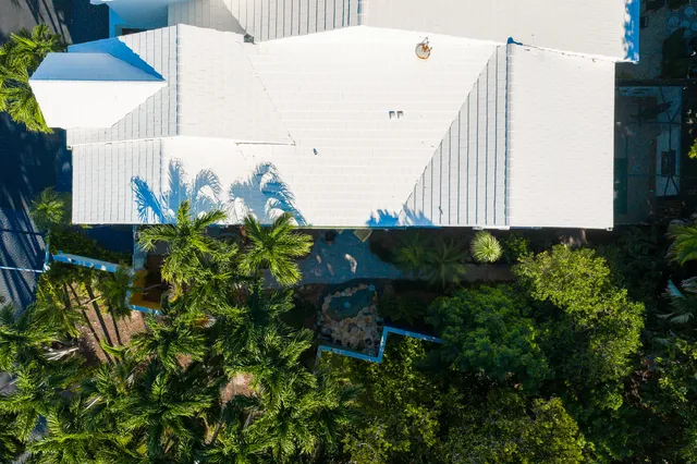 a potted plant sitting in front of a house