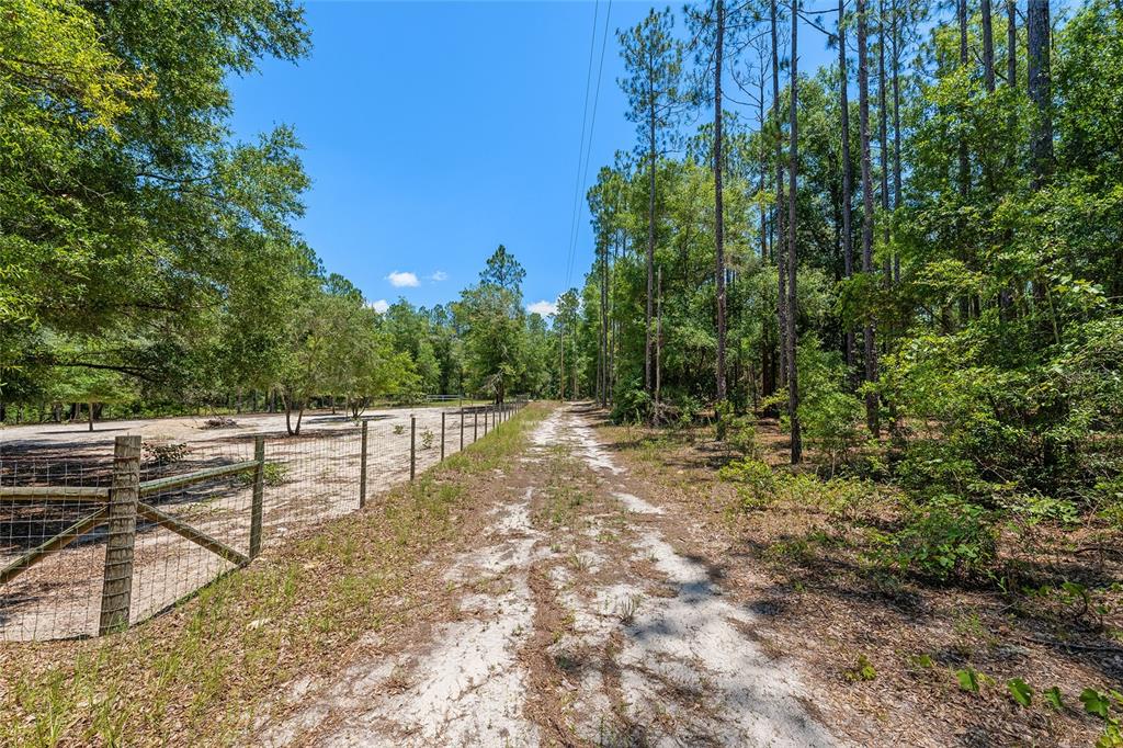 357 Southwest Conestoga Way Fort White, FL 32038 - Photo 44 of 52