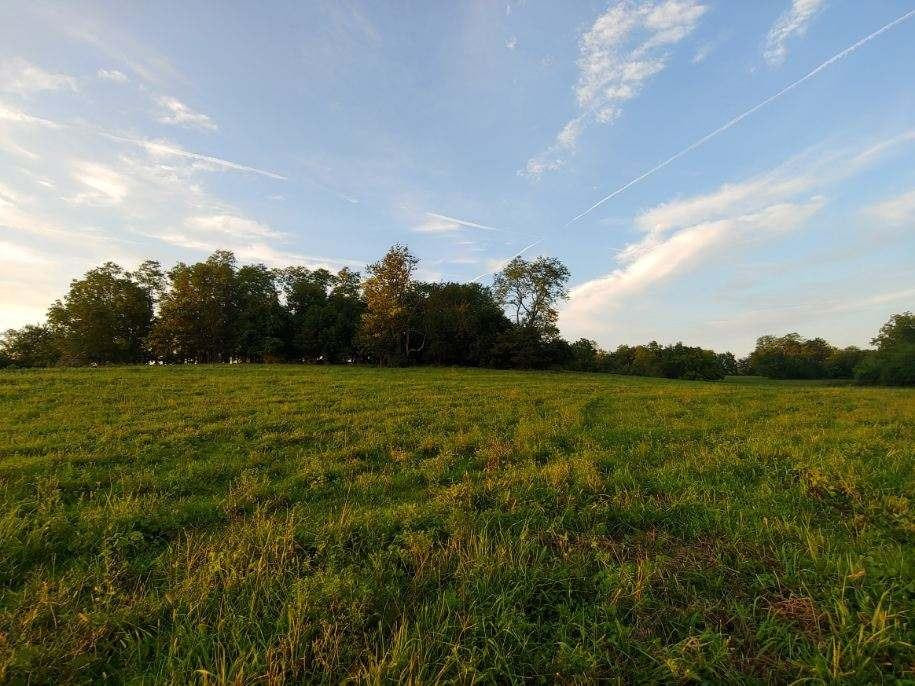 770 Little Stoner Road Winchester, KY 40391 - Photo 12 of 34 Listing Photo