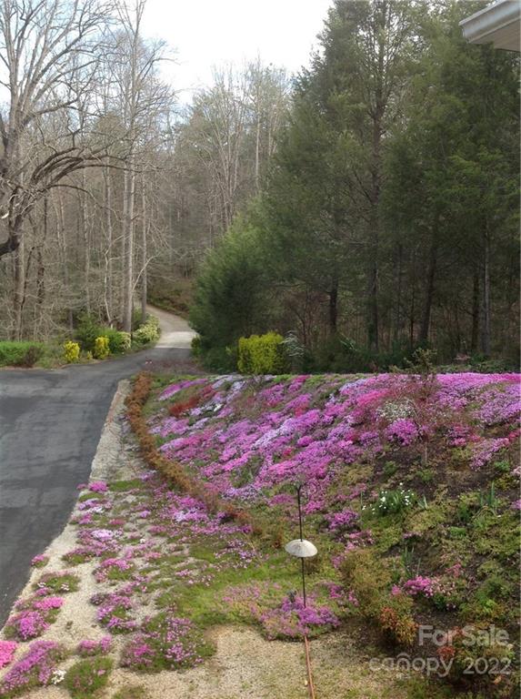 2635 Lytle Mountain Road Marion, NC 28752 - Photo 30 of 44 Gallery Image 30
