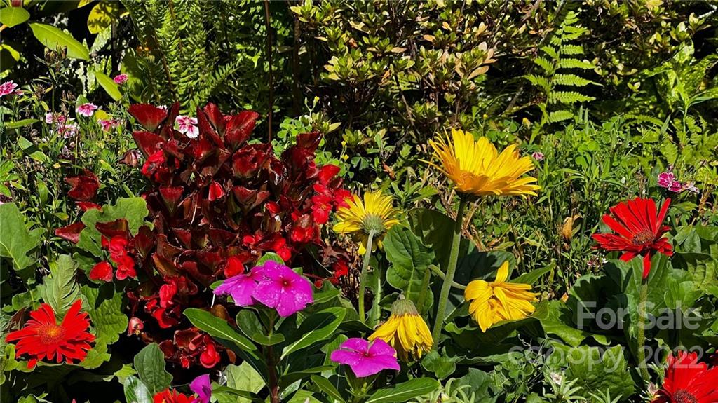 2635 Lytle Mountain Road Marion, NC 28752 - Photo 31 of 44 Gallery Image 31