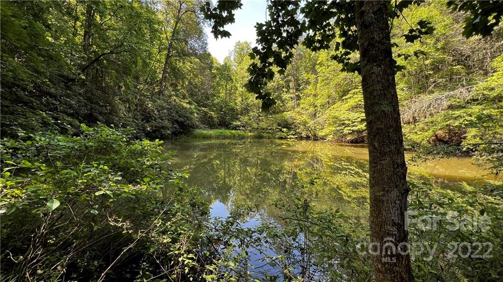 2635 Lytle Mountain Road Marion, NC 28752 - Photo 34 of 44 Gallery Image 34