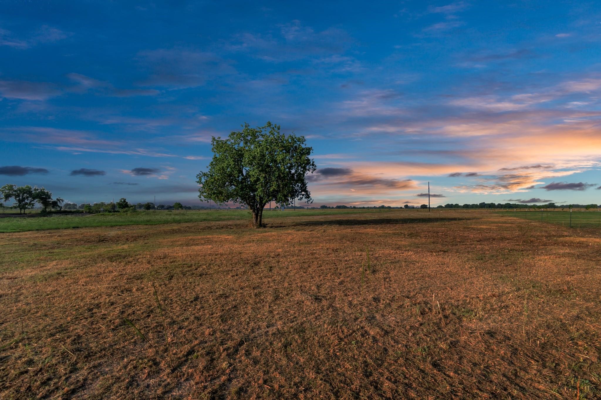 2626 Hamlink Road Rosenberg, TX 77471 - Photo 1 of 10