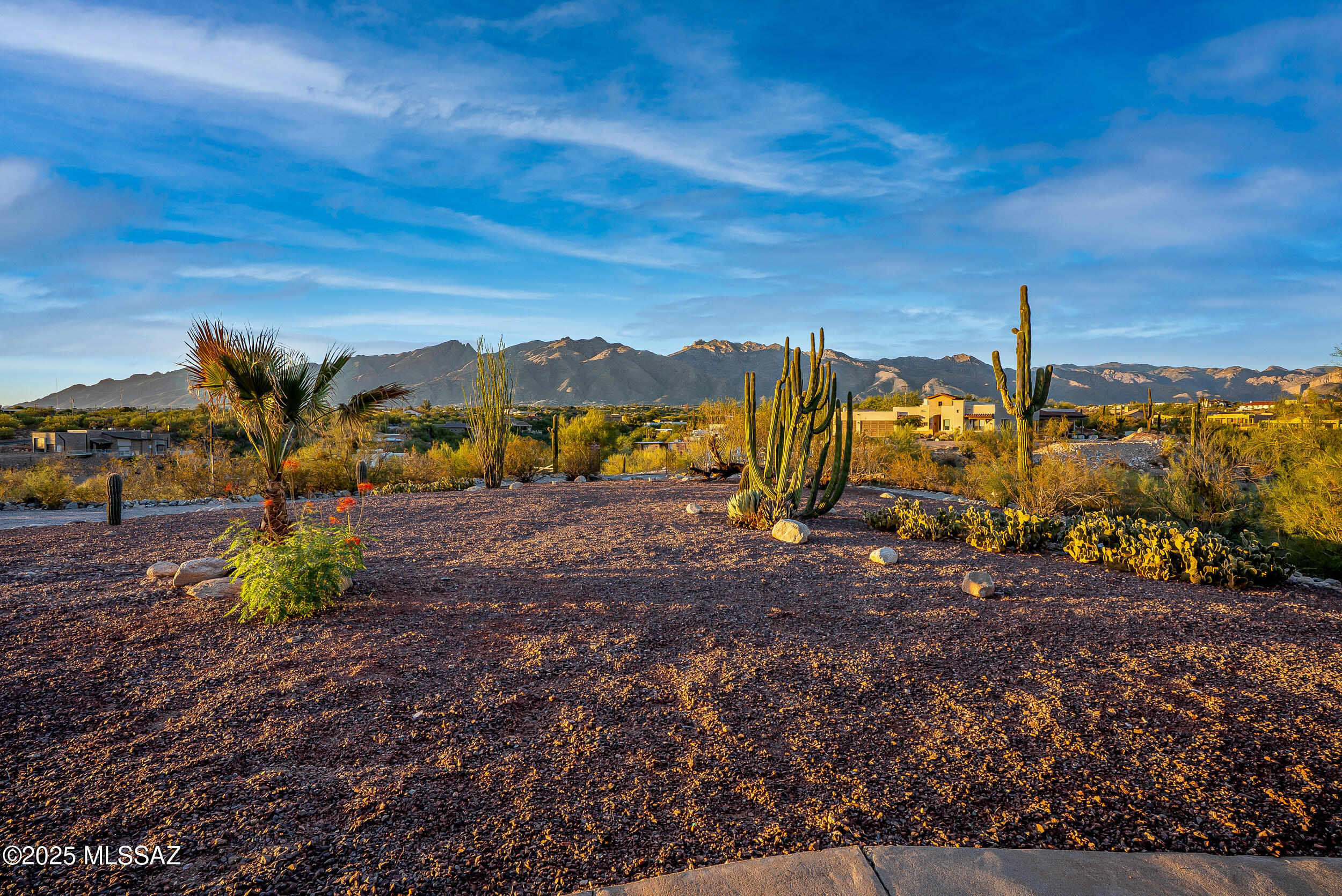 5240 East River House Road Tucson, AZ 85718 - Photo 8 of 49 View out front window