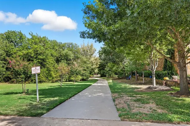 a view of a park with large trees