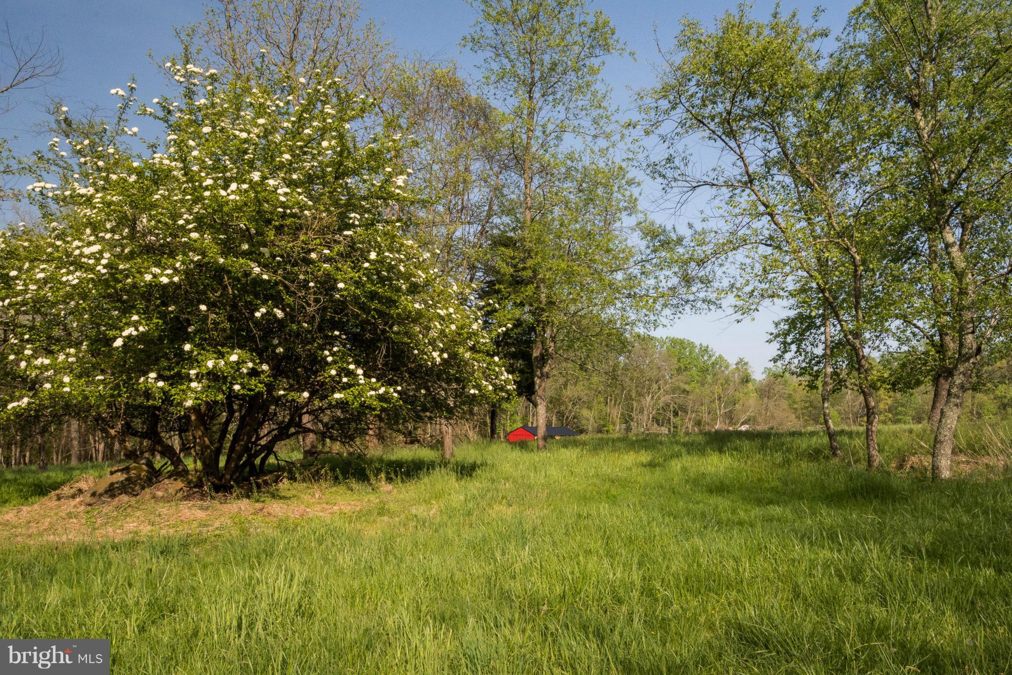 2001 Watervale Road Fallston, MD 21047 - Photo 7 of 22 Exterior (General)