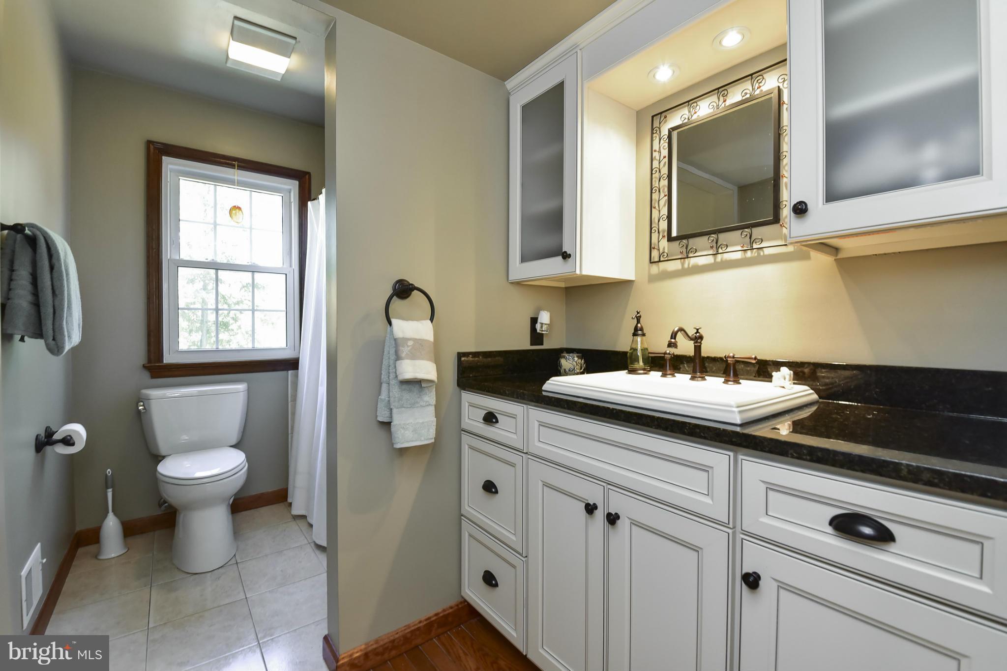 8033 Waterloo Farm Road Warrenton, VA 20186 - Photo 18 of 30 a spacious bathroom with a granite countertop toilet sink and mirror
