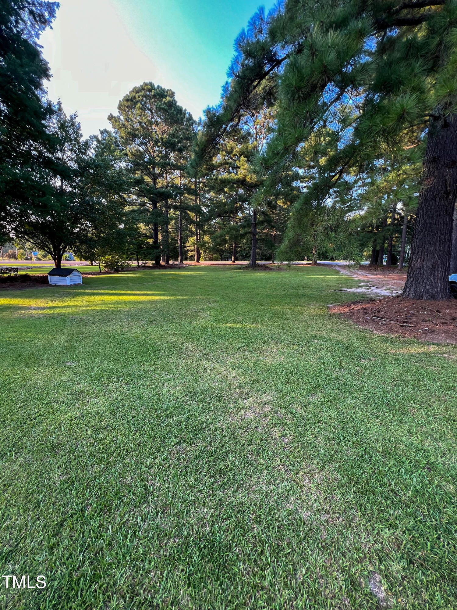 922 Woodruff Road Selma, NC 27576 - Photo 5 of 23 IMG_4621